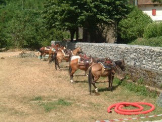  Image name: DSCF2800.JPG 
 width: 320 pixel 
 height: 240 pixel 
 Size: 31484 bytes 
 Click to enlarge 